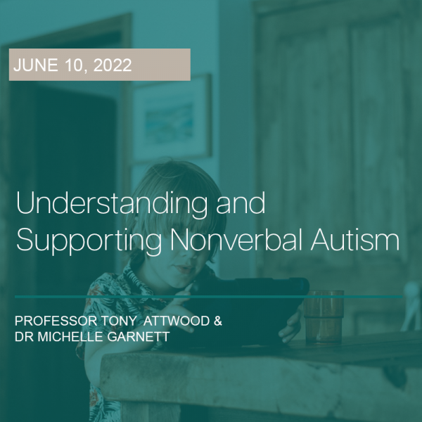 understanding non verbal autism